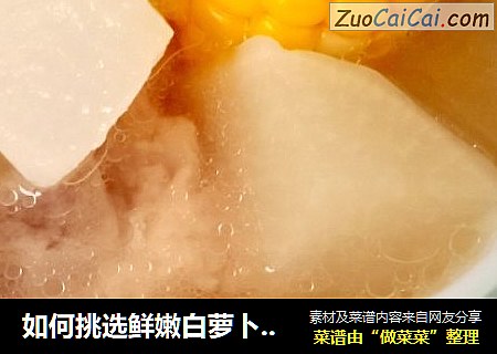 如何挑选鲜嫩白萝卜：萝卜排骨汤