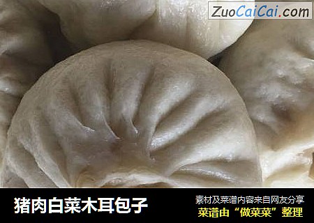 猪肉白菜木耳包子