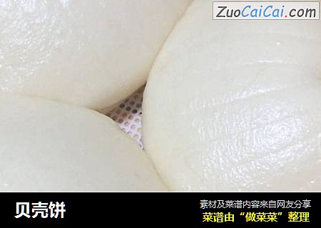 贝壳饼