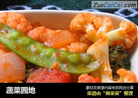 蔬菜园地