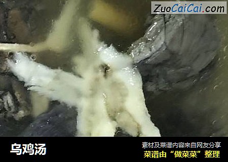 乌鸡汤