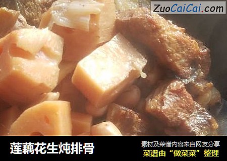 莲藕花生炖排骨