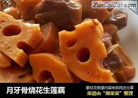 月牙骨烧花生莲藕