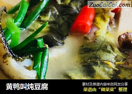 黄鸭叫炖豆腐