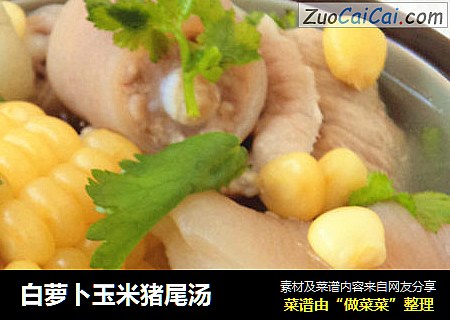 白萝卜玉米猪尾汤