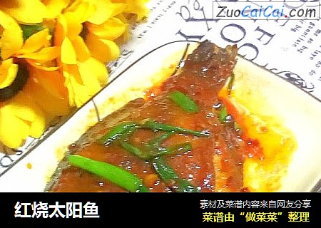 红烧太阳鱼