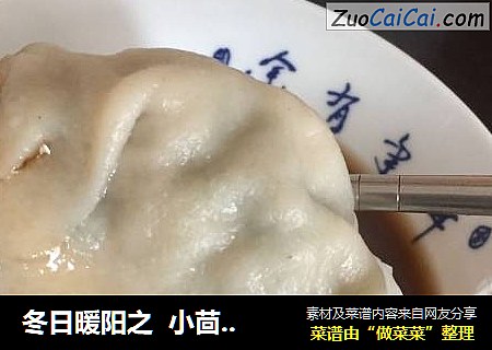 冬日暖阳之  小茴香萝卜肉饺