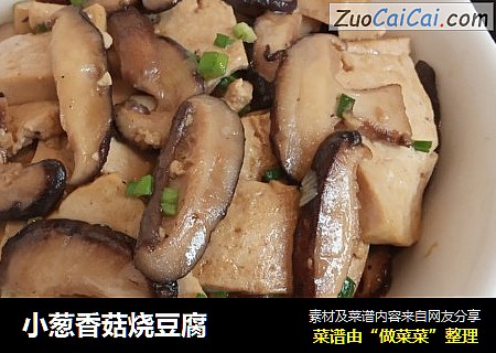 小葱香菇烧豆腐
