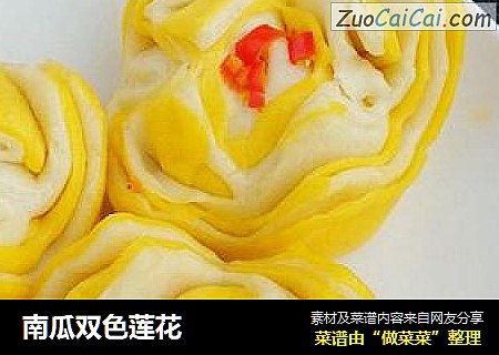 南瓜双色莲花