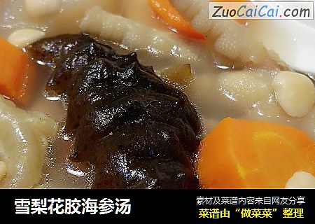 雪梨花胶海参汤