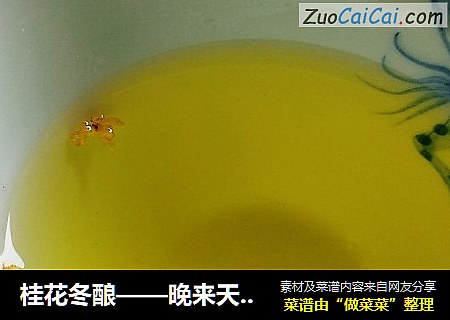 桂花冬酿——晚来天欲雪，可饮一杯无