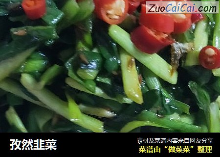 孜然韭菜