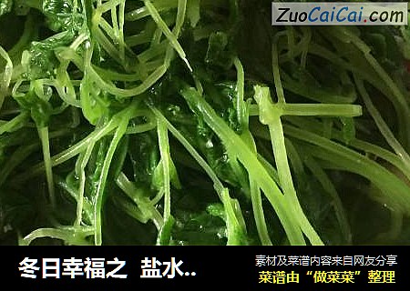 冬日幸福之  盐水益母草