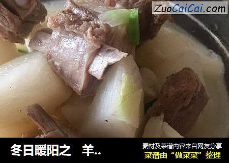 冬日暖阳之羊小排萝卜汤