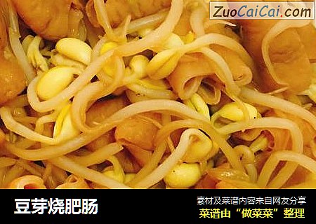 豆芽烧肥肠