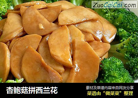 杏鲍菇拼西兰花