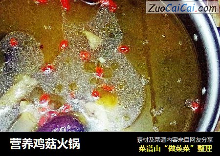 营养鸡菇火锅