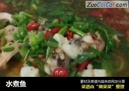 水煮鱼
