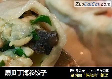 扇贝丁海参饺子