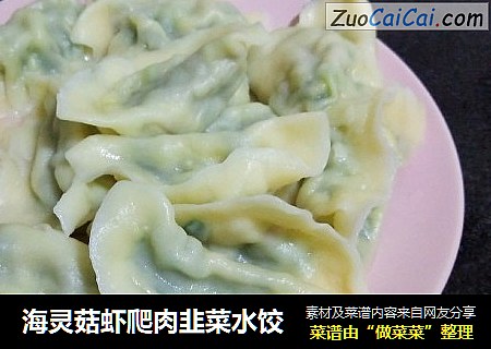 海灵菇虾爬肉韭菜水饺