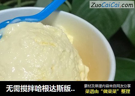 无需搅拌哈根达斯版冰激凌