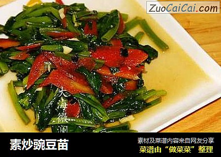 素炒豌豆苗