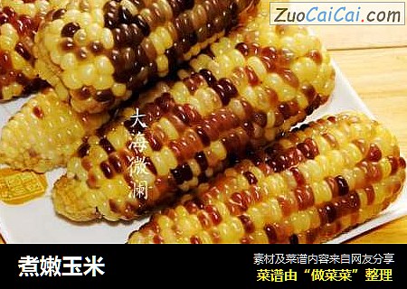 煮嫩玉米