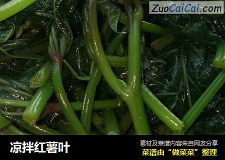 凉拌红薯叶