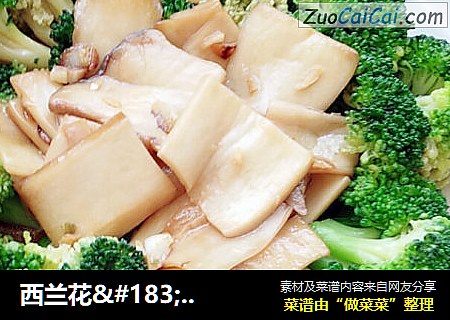 西兰花·杏鲍菇拼盘