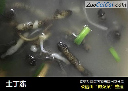土丁冻