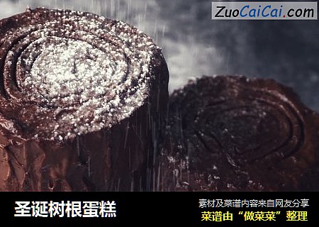 圣诞树根蛋糕