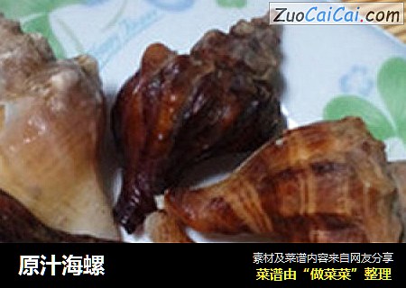 原汁海螺
