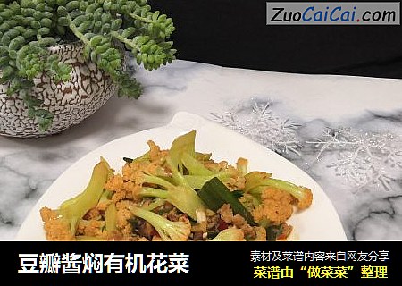 豆瓣酱焖有机花菜