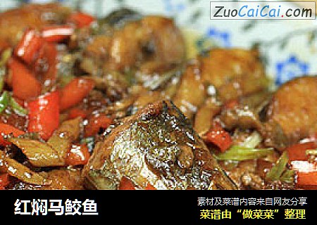 红焖马鲛鱼