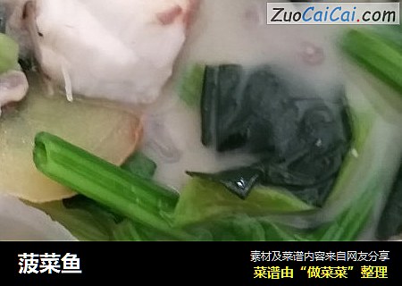 菠菜鱼