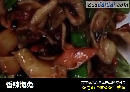 香辣海兔