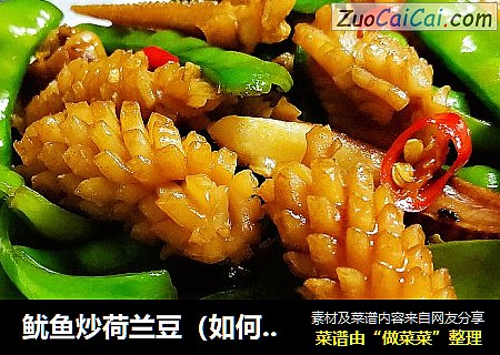 鱿鱼炒荷兰豆（如何泡发干鱿鱼）