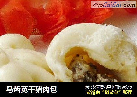 马齿苋干猪肉包