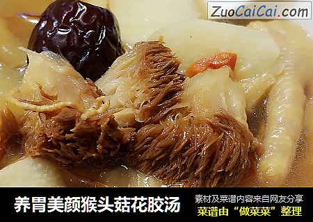 养胃美颜猴头菇花胶汤