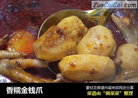 香糯金钱爪