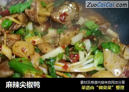 麻辣尖椒鸭
