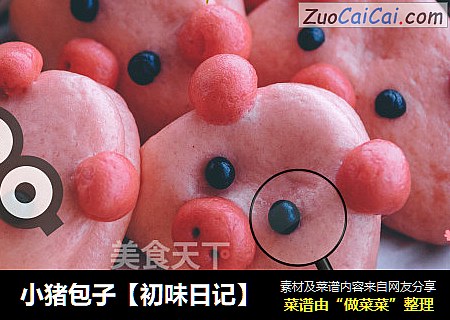 小猪包子【初味日记】
