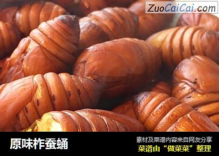 原味柞蚕蛹