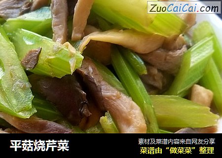 平菇烧芹菜