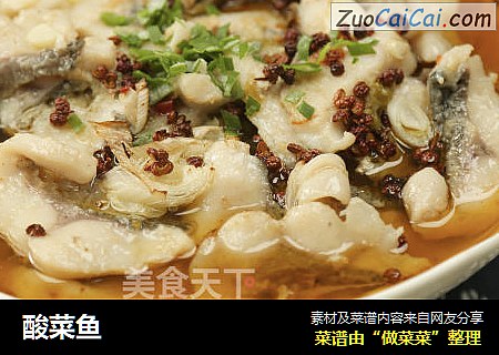 酸菜鱼