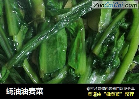 蚝油油麦菜