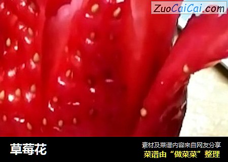 草莓花