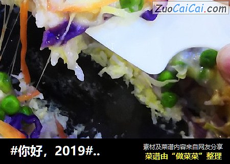 #你好，2019#???米饭披萨