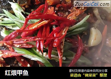 红煨甲鱼