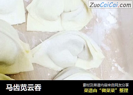 马齿苋云吞